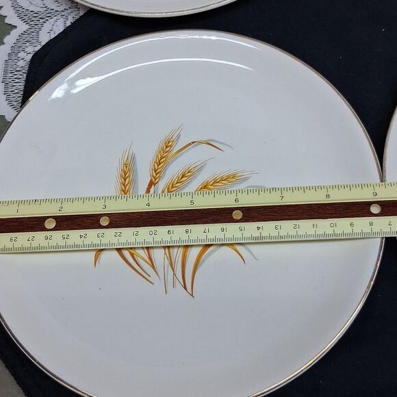Set of 4 Elegant Wheat Design 9" Dinner Plates - Homer Laughlin - Picture 6 of 7